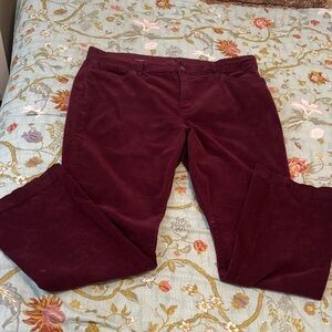 Corduroy Pants in Deep Wine